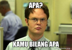 Schrute Facts (Dwight Schrute from The Office)