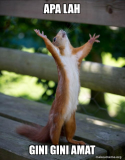 Happy Squirrel