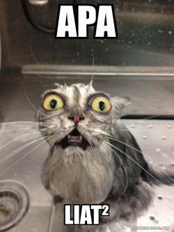 Cat bath