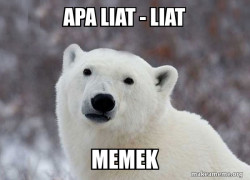 Popular Opinion Polar Bear