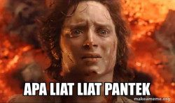 Frodo it's over it's done