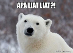 Popular Opinion Polar Bear