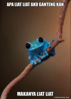 Small Fact Frog