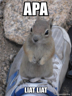 Standover Squirrel