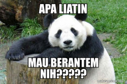 Confession Panda
