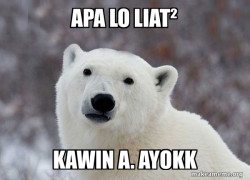 Popular Opinion Polar Bear