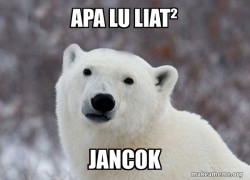Popular Opinion Polar Bear