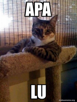 The Most Interesting Cat in the World