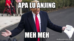 Trump - Impeachment Quid Pro Quo