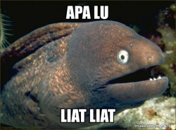Bad Joke Eel