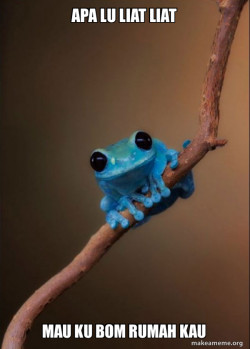Small Fact Frog