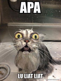 Cat bath