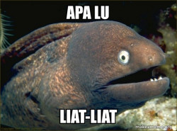 Bad Joke Eel