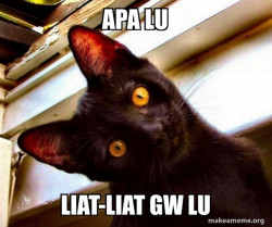 Overly Attached Cat