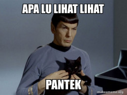 Spock and Cat Meme
