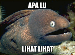 Bad Joke Eel