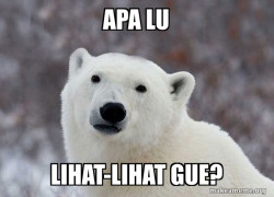 Popular Opinion Polar Bear