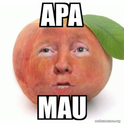 Impeached Donald Trump