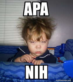 Monday Mornings