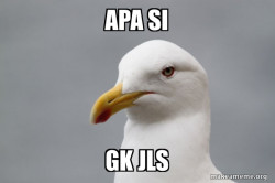Stuff That Didn't Happen Seagull