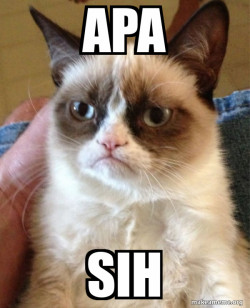Grumpy Cat