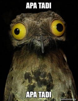 Weird Stuff I do Potoo