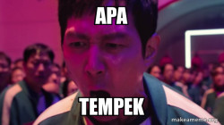 Apa Tempek