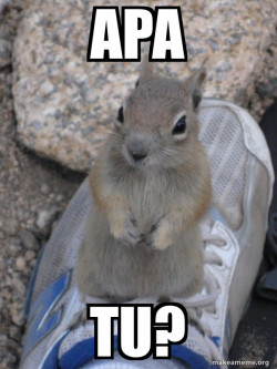 Standover Squirrel