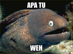 Bad Joke Eel