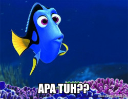 Dory from Nemo  (5 second memory)