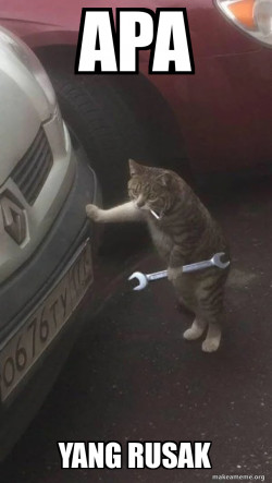 Mechanic Cat