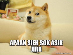 Doge