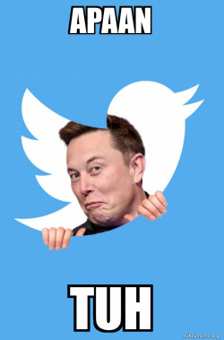 Elon Musk Twitter