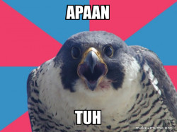 Millennial Falcon