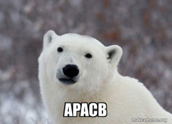 Popular Opinion Polar Bear