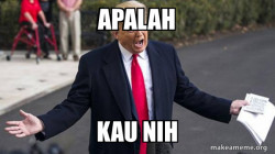 Trump - Impeachment Quid Pro Quo