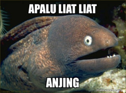 Bad Joke Eel