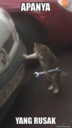 Mechanic Cat