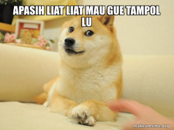 Doge