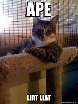 The Most Interesting Cat in the World