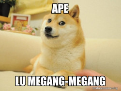 Doge