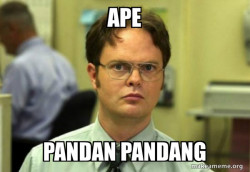 Schrute Facts (Dwight Schrute from The Office)