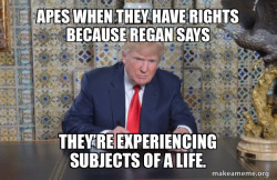 Donald Trump Writing Speech