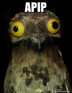 Weird Stuff I do Potoo