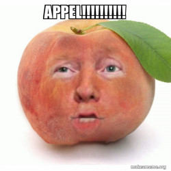 Impeached Donald Trump