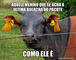Hairless Cow