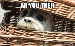 Impending Doom Seal