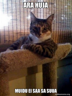 The Most Interesting Cat in the World