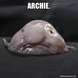 Blobfish