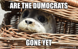 Impending Doom Seal